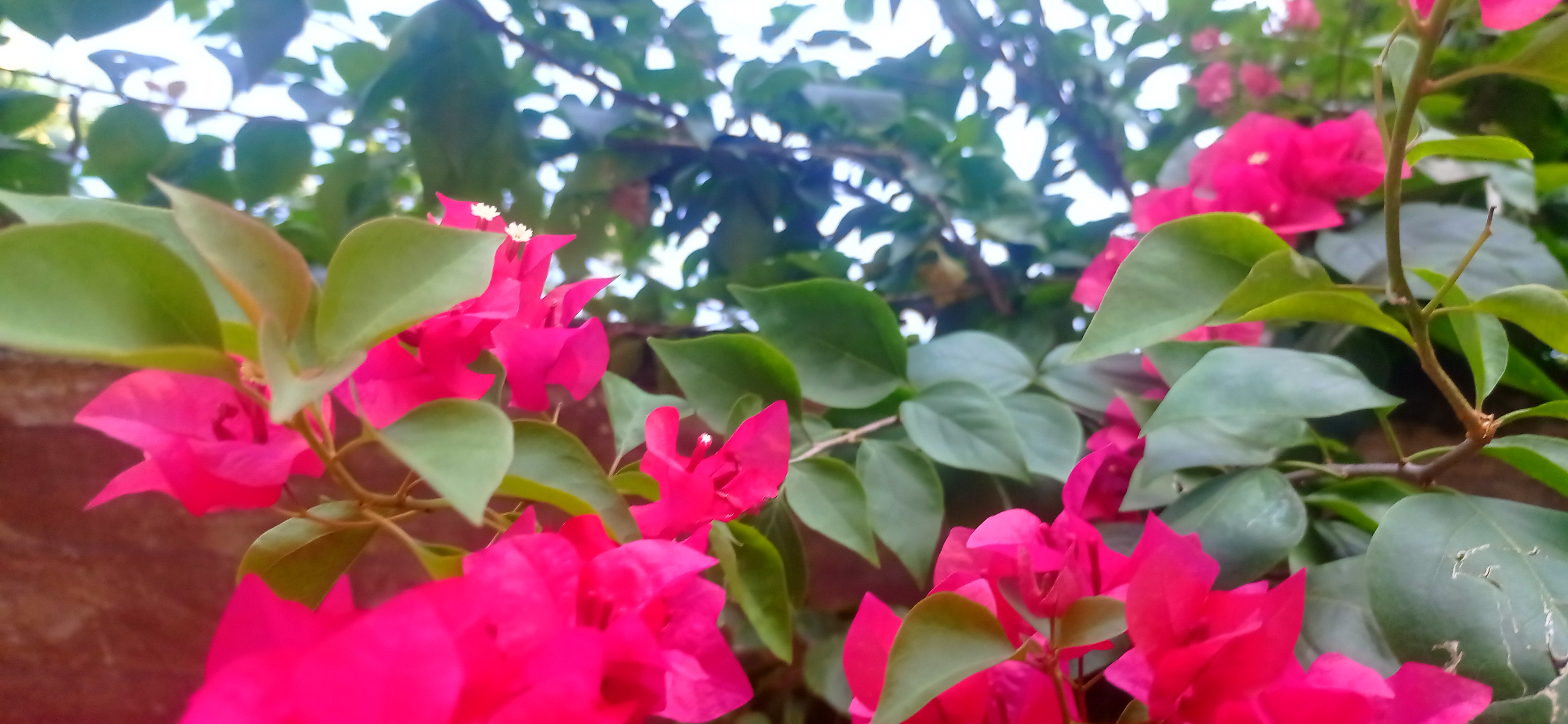 IMG_20261014_091320.jpg