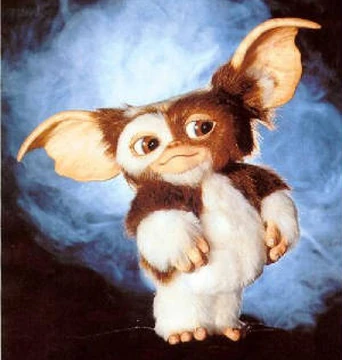 Gizmo.jpg