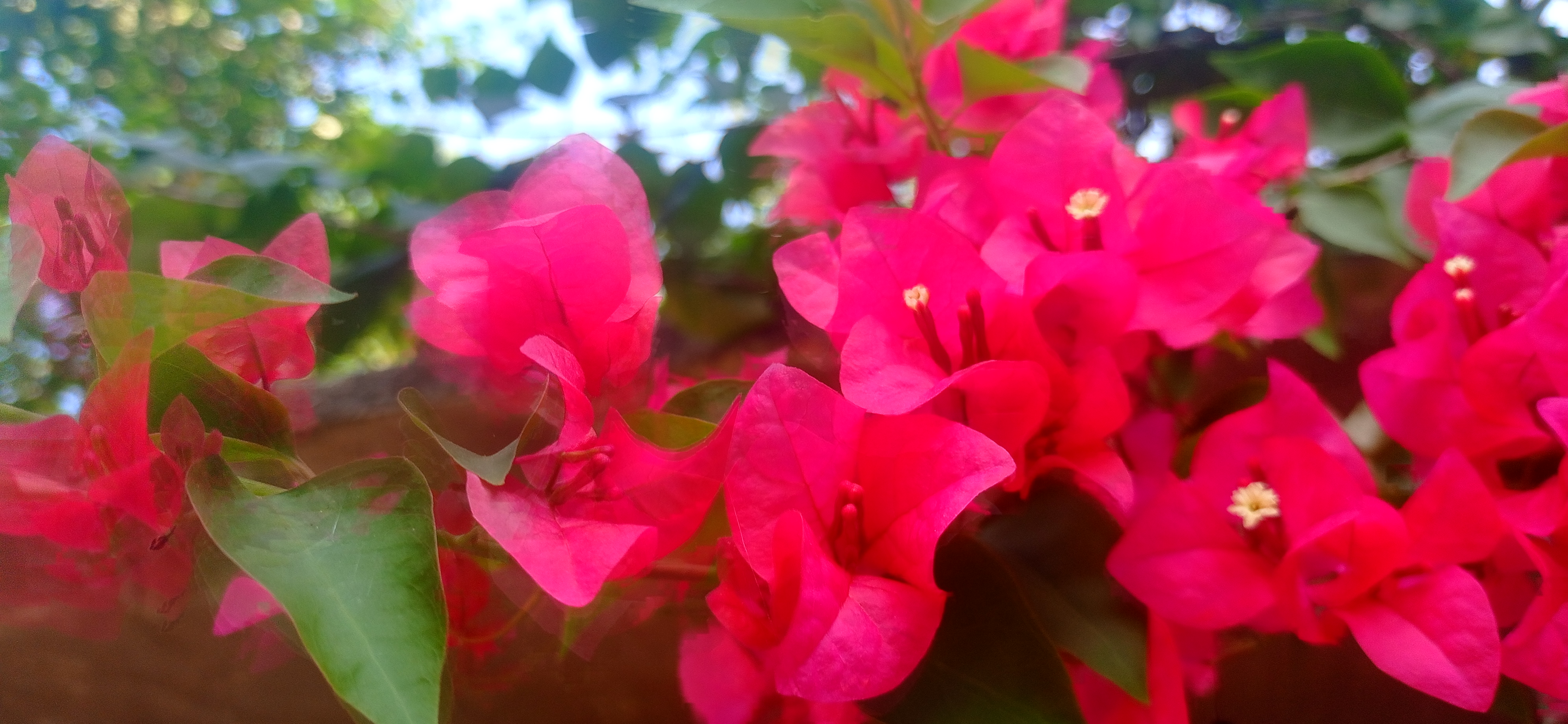 IMG_20261014_091315.jpg